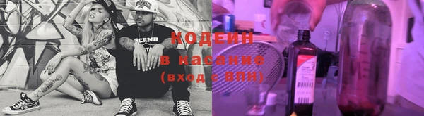 хмурый Абаза
