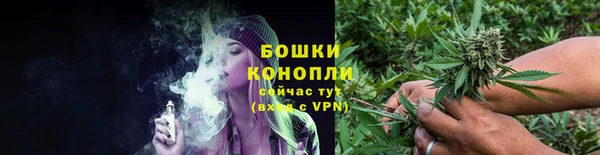 PSILOCYBIN Нея