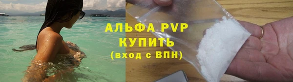 хмурый Абаза