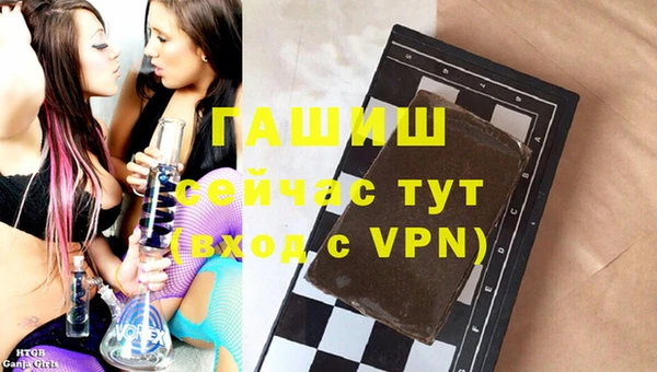 хмурый Абаза