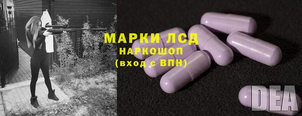 хмурый Абаза